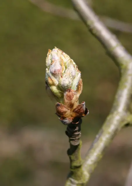 Wer bist du? | Foto: (c) GMS