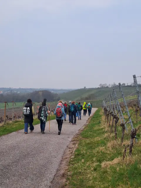 Gemeinsam unterwegs durch die Weinberge | Foto: Sarah Peters 