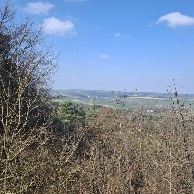 Panoramaaussicht von der aussichtsplattform "Weißer Steinbruch" | Foto: J. Betz