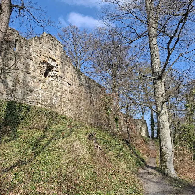 Ruine Blankenhorn | Foto: J.Betz