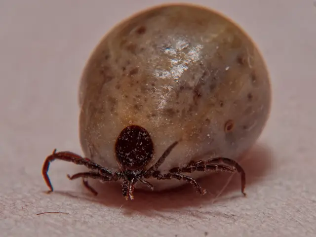 Foto: Eigenes Bild TB