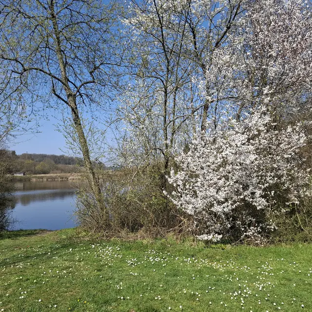 Katzenbachstausee | Foto: J.Betz