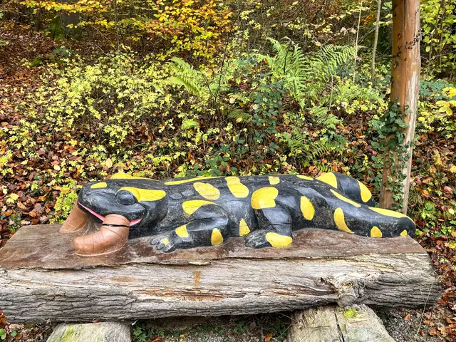 Foto: Heide Böllinger aus Bad Friedrichshall