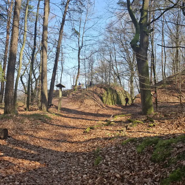 Weißer Steinbruch | Foto: J.Betz