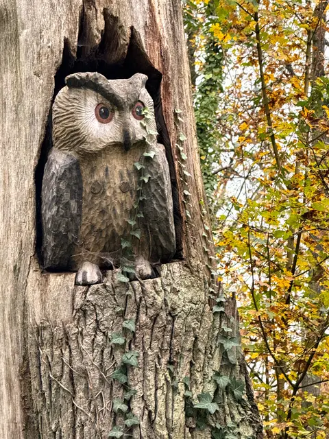 Foto: Heide Böllinger aus Bad Friedrichshall