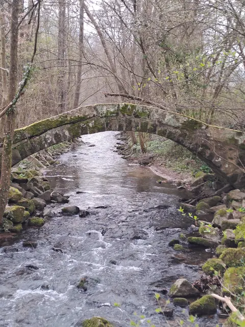 Brücke in Untersteinbach an der Kirche | Foto: Sarah Peters 