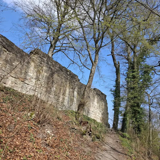 Ruine Blankenhorn | Foto: J.Betz