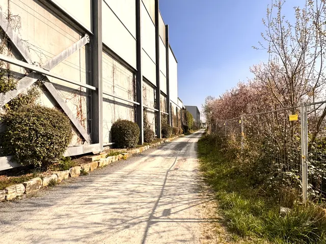 Foto: Heide Böllinger aus Bad Friedrichshall