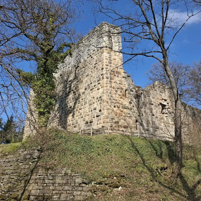 Ruine Blankenhorn | Foto: J.Betz