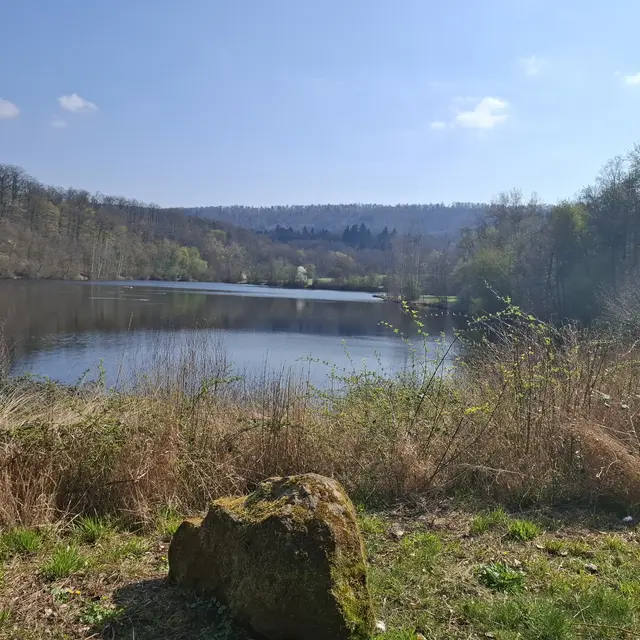 Katzenbachstausee | Foto: J.Betz