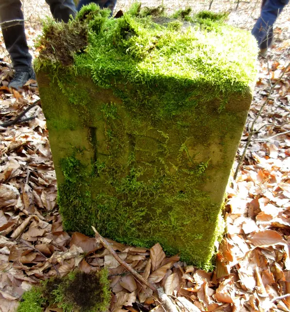 Die Rückseite steht HB für Heilbronn, das grenzt den Wald zur Stettenfels ab. | Foto: WandernGabyErich