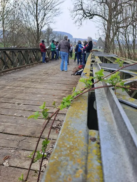 Singen auf der Brücke nahe der Rohrmühle | Foto: Sarah Peters 