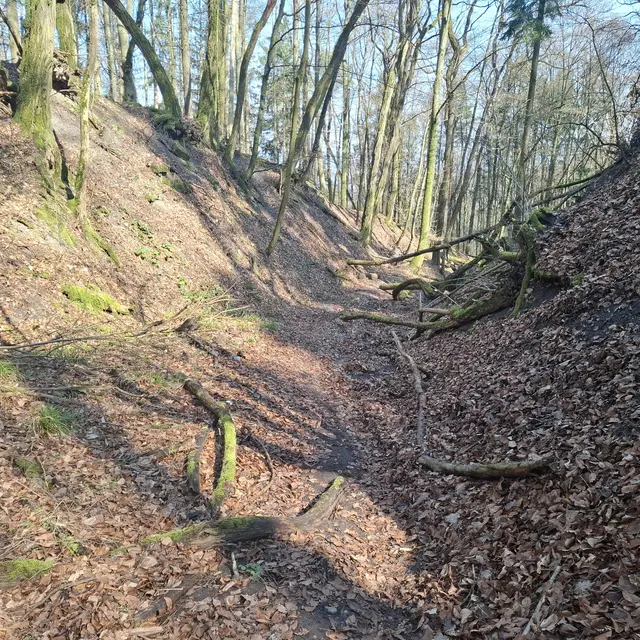 Petersklinge | Foto: J.Betz