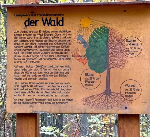 Foto: Heide Böllinger aus Bad Friedrichshall