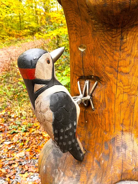 Foto: Heide Böllinger aus Bad Friedrichshall
