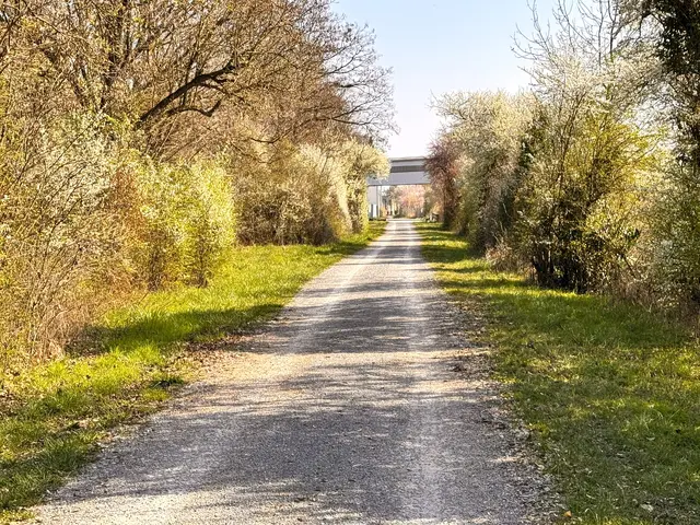 Foto: Heide Böllinger aus Bad Friedrichshall
