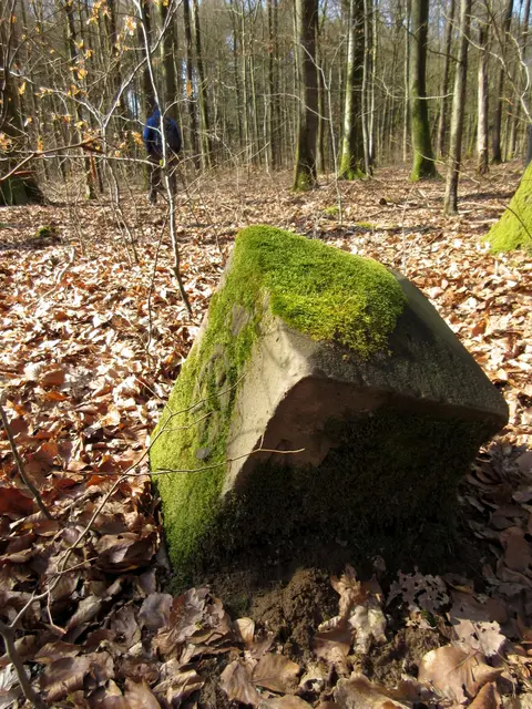 Nach der 10 wurden keine weiteren gefunden. Die Wanderer hatten fast parallel zum Weg den Dornberg erreicht. | Foto: WandernGabyErich