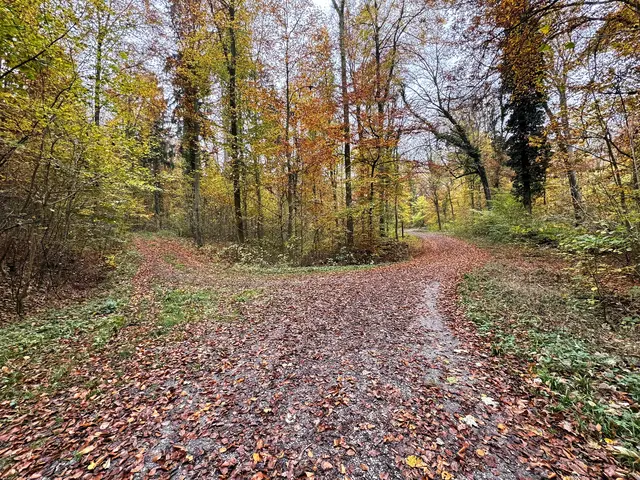 Foto: Heide Böllinger aus Bad Friedrichshall