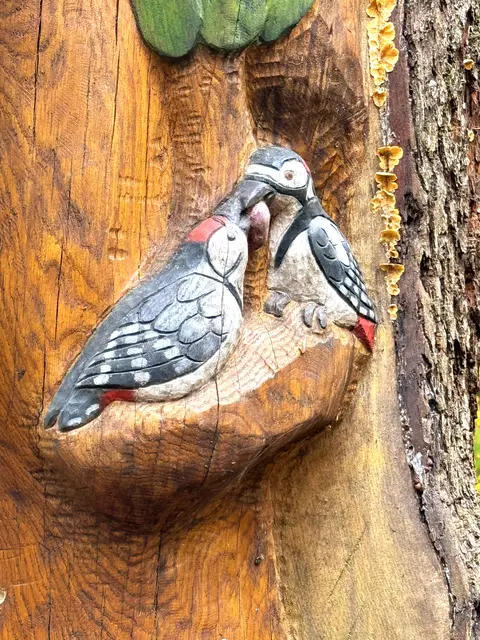 Foto: Heide Böllinger aus Bad Friedrichshall