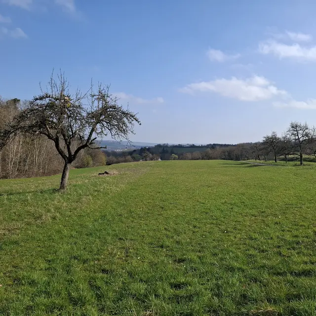 Blick auf den Michaelsberg | Foto: J.Betz