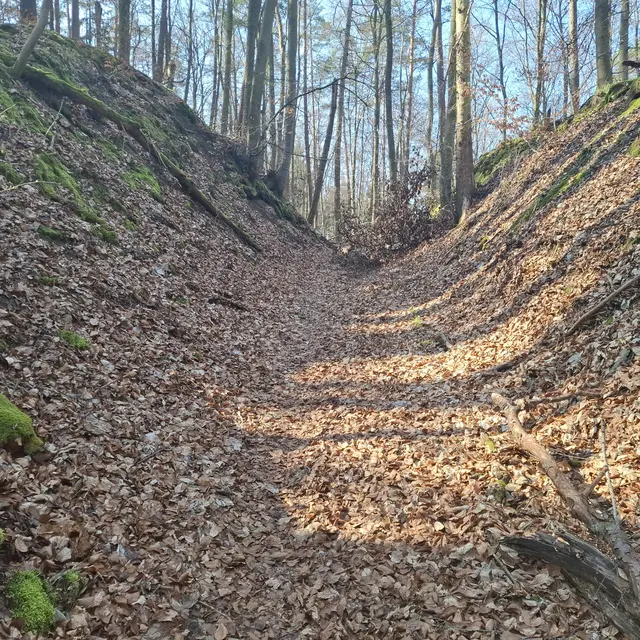 Petersklinge | Foto: J.Betz