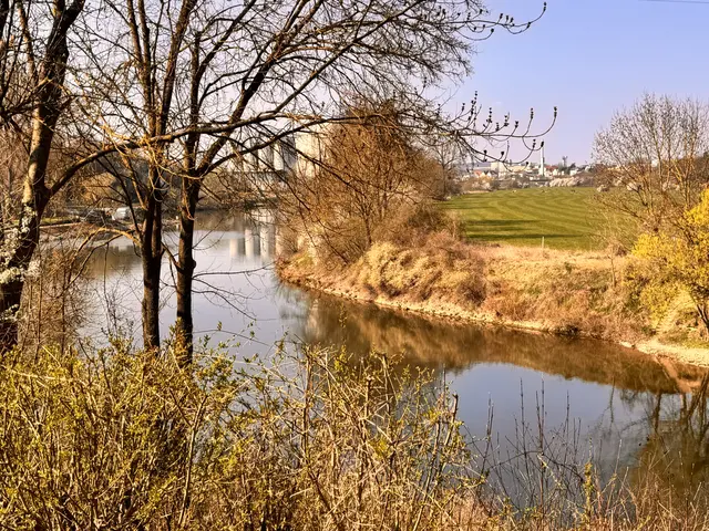 Foto: Heide Böllinger aus Bad Friedrichshall
