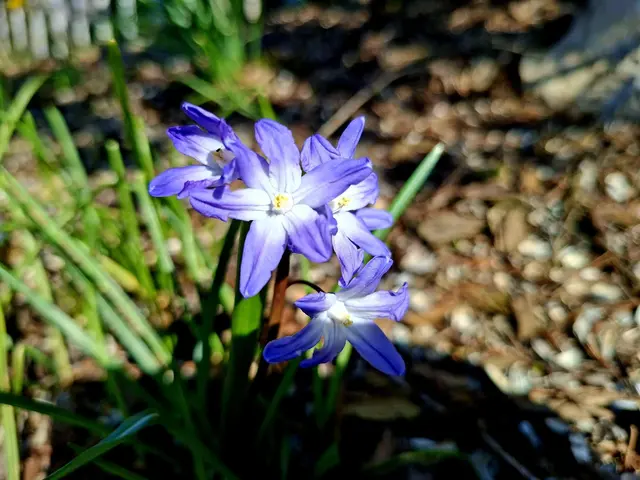 Rund ums Haus | Foto: Ralf Röser