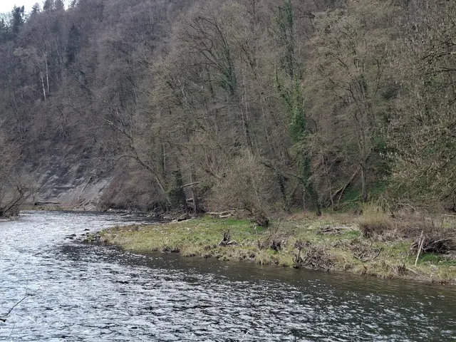 am Kocher entlang | Foto: Ralf Röser