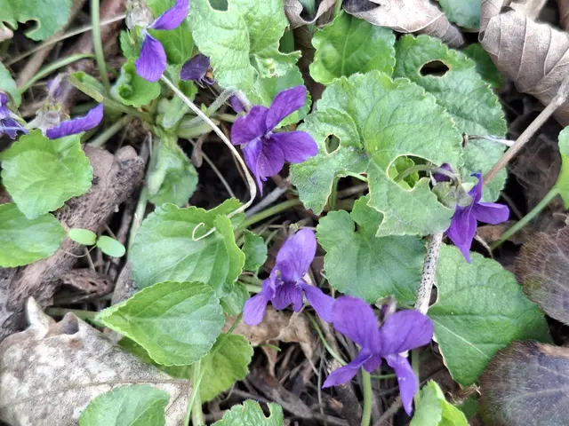 am Kocher entlang | Foto: Ralf Röser