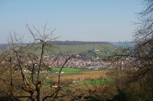 Blick zum Wartkopf und den Fohlenberg mit der im Vordergrund liegenden   Burg Hohenbeilstein und der Stadt Beilstein.  | Foto: I.Reitz