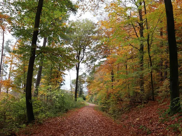 Foto: Stephanie Rüdele