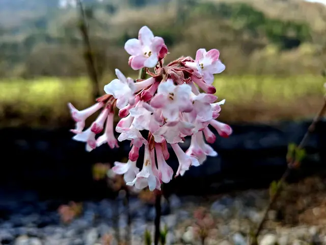 Rund ums Haus | Foto: Ralf Röser