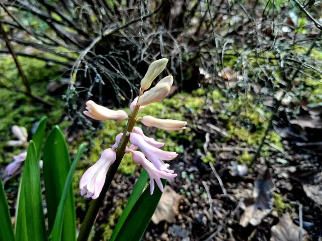 Rund ums Haus | Foto: Ralf Röser