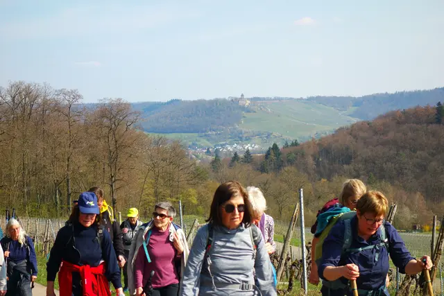 Am Waldrand entlang aufwärts zum Köchersberg - im Hintergrund die mächtige Burg Lichtenberg. | Foto: I.Reitz