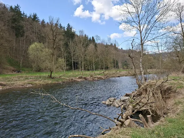 am Kocher entlang | Foto: Ralf Röser