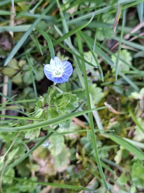 am Kocher entlang | Foto: Ralf Röser