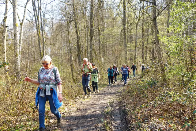 Durch den Köchersberger Wald marschiert die Gruppe wieder Richtung Wunnenstein. | Foto: I.Reitz