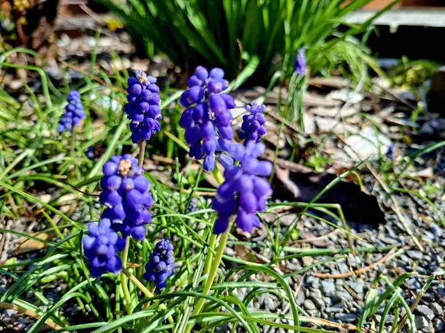 Rund ums Haus | Foto: Ralf Röser