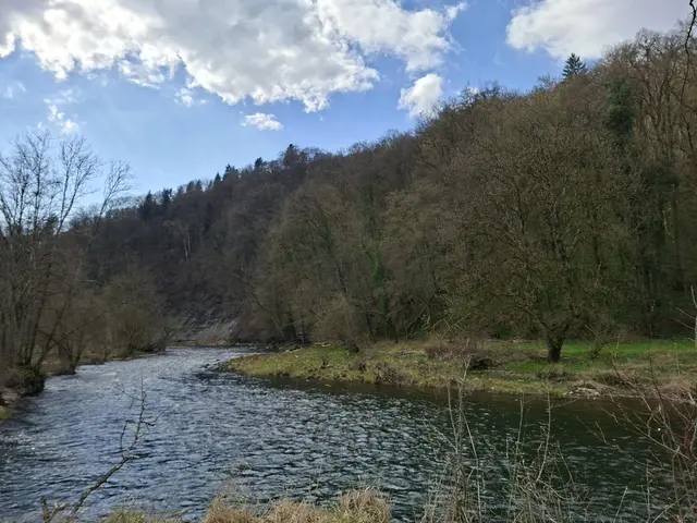 am Kocher entlang | Foto: Ralf Röser