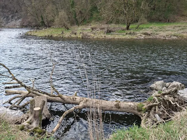 am Kocher entlang | Foto: Ralf Röser