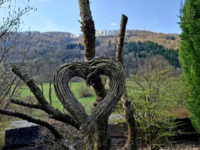 Rund ums Haus | Foto: Ralf Röser