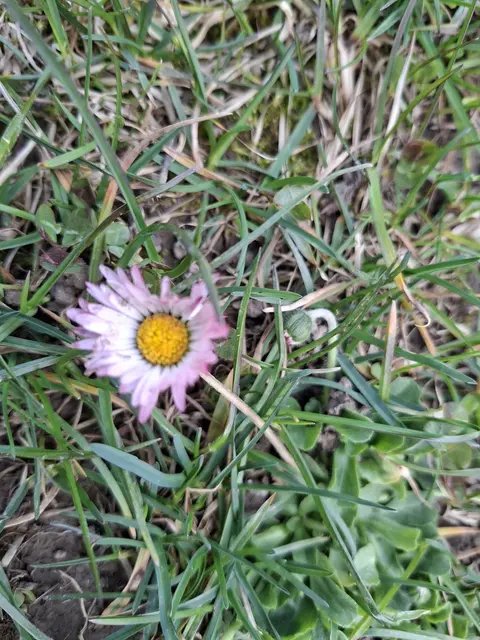 am Kocher entlang | Foto: Ralf Röser