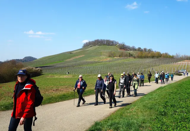 Der Forstkopf ist geschafft, nun geht es weiter nach Oberstenfeld. | Foto: I.Reitz