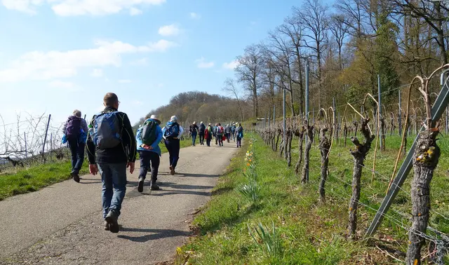 Ziel in Sicht - Letzte Höhenmeter hoch zum Wunnenstein. | Foto: I.Reitz