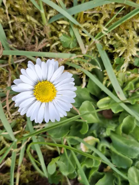 am Kocher entlang | Foto: Ralf Röser
