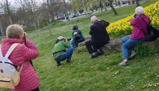 Die Narzissen werden ins Visier genommen.  | Foto: sigischlottke