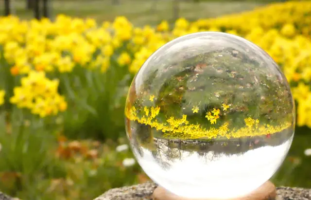 Experimente mit Elektras Lensball.  | Foto: sigischlottke