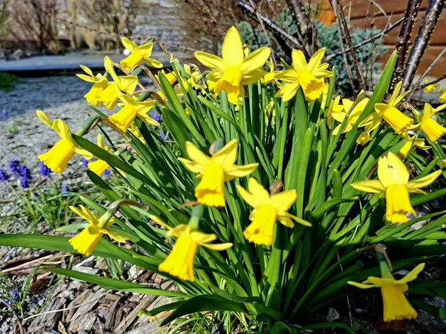 Rund ums Haus | Foto: Ralf Röser