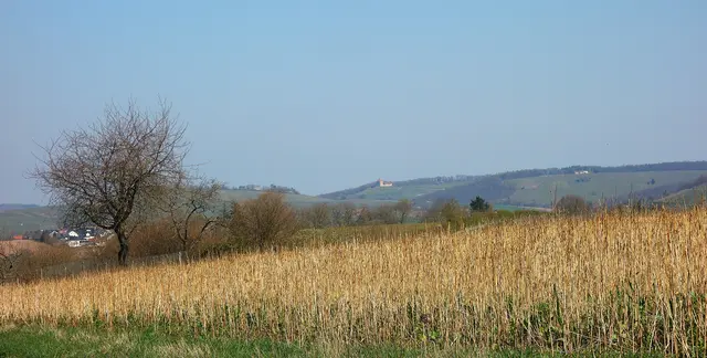 Auf dem Weg zum Forstkopf mit Sicht zur Burgruine Helfenberg, Burg Wildeck und dem Amalienhof. | Foto: I.Reitz