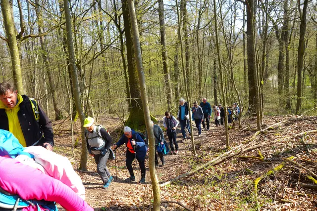 Durch den Wald steil aufwärts! | Foto: I.Reitz